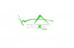 Cricket Turf of Miami Beach - 1