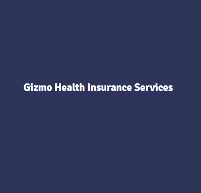 Gizmo Health Insurance Services