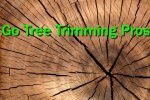 Go Tree Trimming Pros - 1