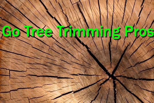 Go Tree Trimming Pros