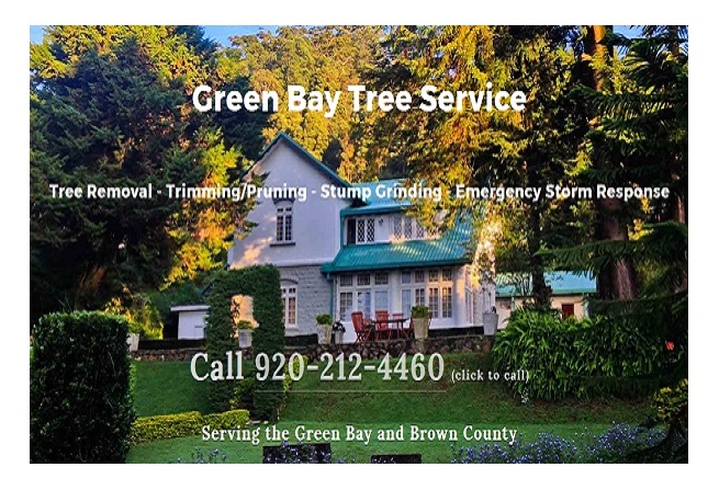 Green Bay Tree Service