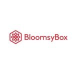 BloomsyBox - 1