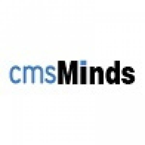 Cmsminds - Web Design & Development In Nj